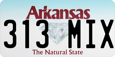 AR license plate 313MIX