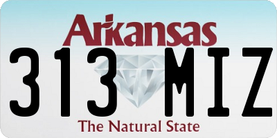 AR license plate 313MIZ