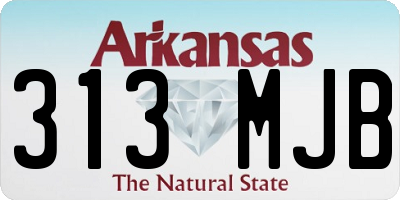 AR license plate 313MJB