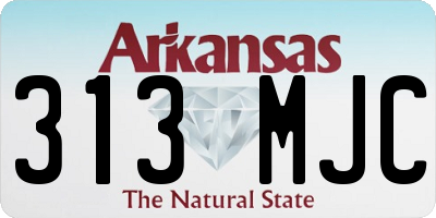 AR license plate 313MJC