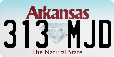 AR license plate 313MJD
