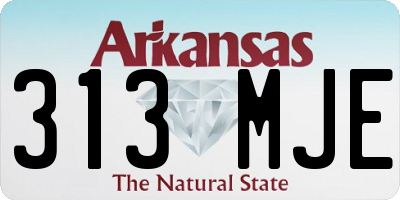 AR license plate 313MJE