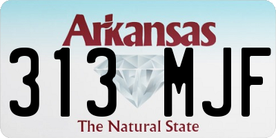 AR license plate 313MJF