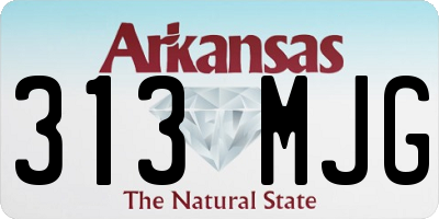 AR license plate 313MJG