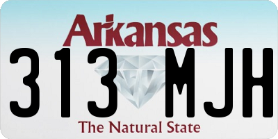AR license plate 313MJH