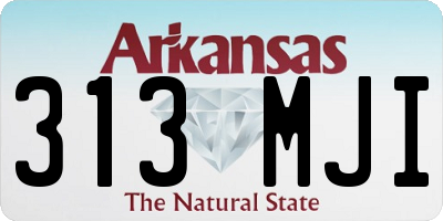 AR license plate 313MJI
