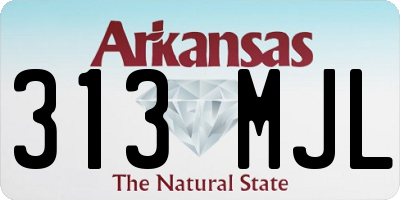 AR license plate 313MJL