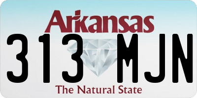 AR license plate 313MJN