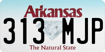 AR license plate 313MJP