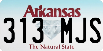 AR license plate 313MJS