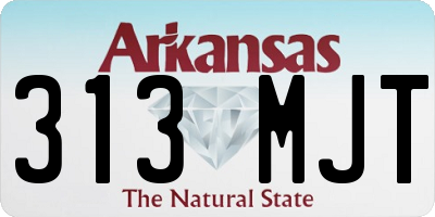 AR license plate 313MJT