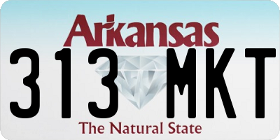 AR license plate 313MKT