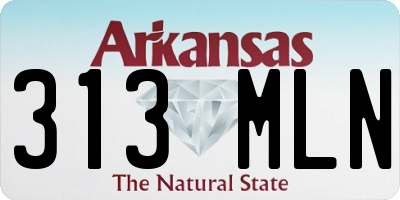 AR license plate 313MLN