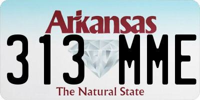 AR license plate 313MME