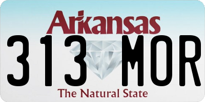 AR license plate 313MOR