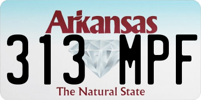 AR license plate 313MPF