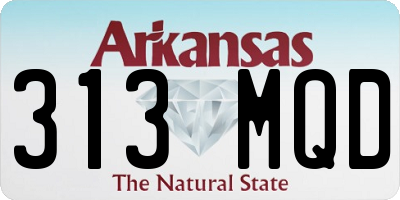 AR license plate 313MQD