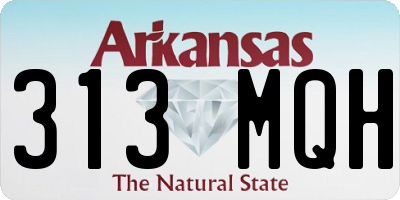 AR license plate 313MQH