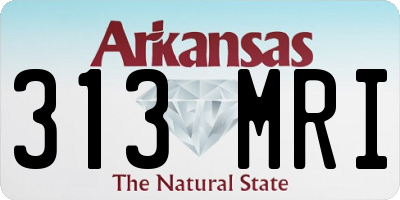 AR license plate 313MRI