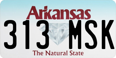 AR license plate 313MSK