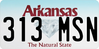 AR license plate 313MSN