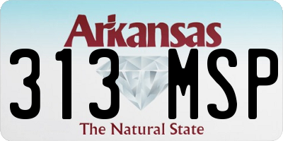 AR license plate 313MSP