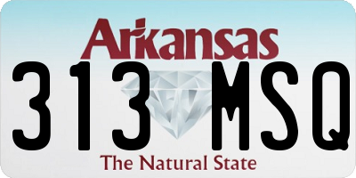 AR license plate 313MSQ