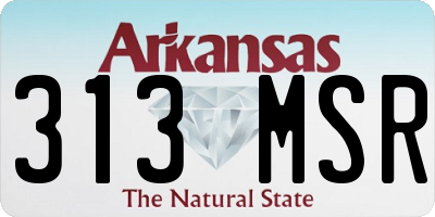 AR license plate 313MSR