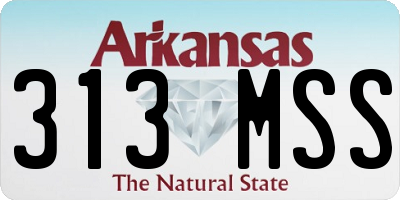 AR license plate 313MSS
