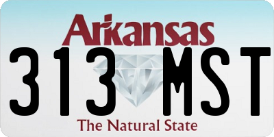 AR license plate 313MST