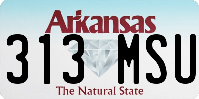AR license plate 313MSU
