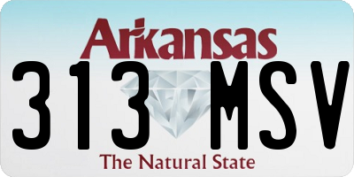 AR license plate 313MSV