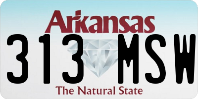 AR license plate 313MSW