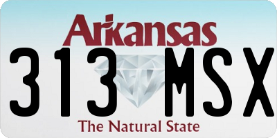 AR license plate 313MSX