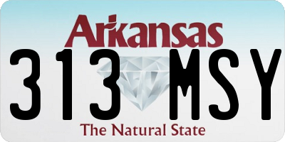 AR license plate 313MSY
