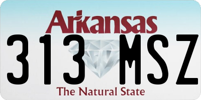 AR license plate 313MSZ