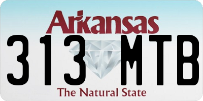 AR license plate 313MTB