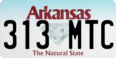 AR license plate 313MTC
