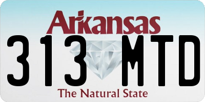 AR license plate 313MTD