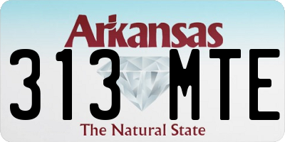 AR license plate 313MTE