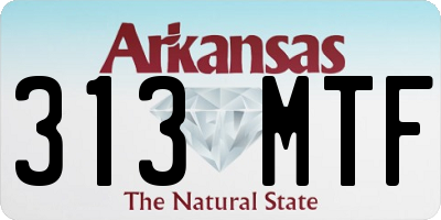 AR license plate 313MTF