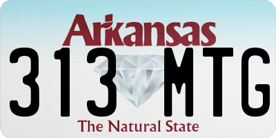 AR license plate 313MTG