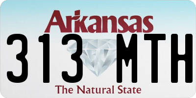 AR license plate 313MTH