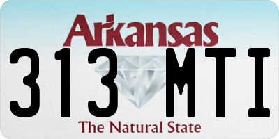 AR license plate 313MTI