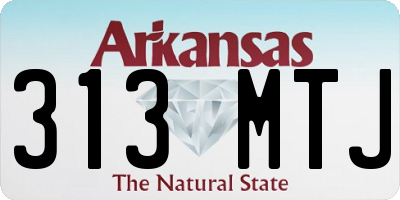 AR license plate 313MTJ