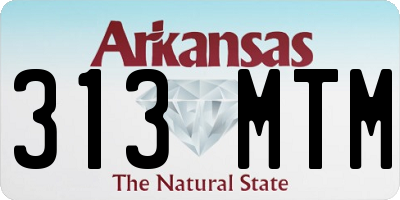 AR license plate 313MTM