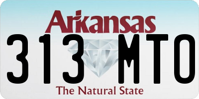 AR license plate 313MTO