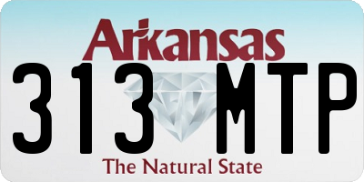 AR license plate 313MTP