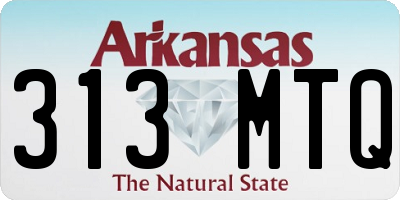AR license plate 313MTQ