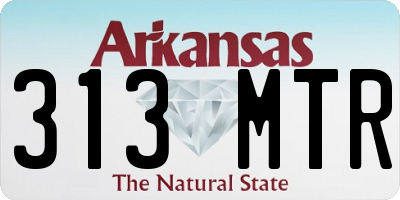 AR license plate 313MTR